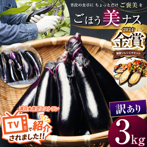 農家さん応援！訳ありごほう美ナス 約3kg