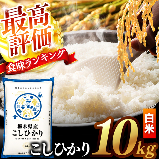 【先行予約】 ＼白米／ 栃木県産コシヒカリ 10kg