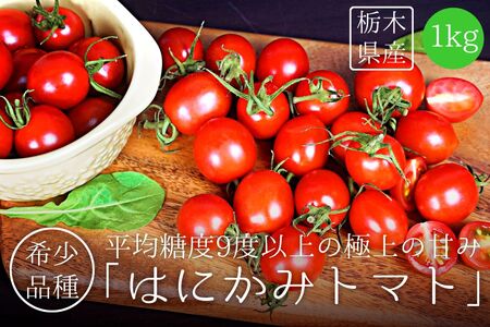 太陽の恵みをたっぷり浴びた はにかみトマト 1kg ミニトマト 真岡市 栃木