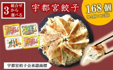 宇都宮餃子 選べるセット(肉&野菜) 計12箱