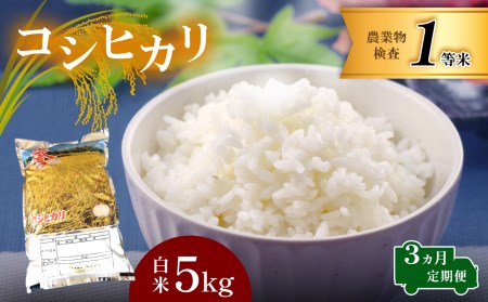 [定期便]お米 コシヒカリ 白米 3回定期 5kg×3回