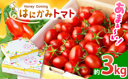 žb݂Ղ藁т ͂ɂ݃g}g 3kg