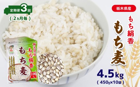 [定期便]もち麦 定期便3回 2ヵ月毎 栃木県産もち絹香