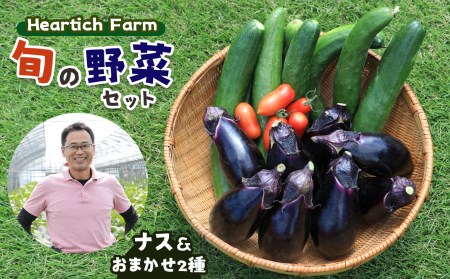 野菜 ナス Heartich Farm旬の野菜セット(おまかせ3種)