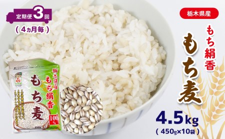 [定期便] 栃木県産もち絹香 もち麦 (450g×10袋) 3回定期 (4ヶ月毎)