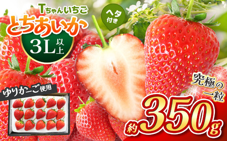 とちあいか３L以上ホール詰め 約350g