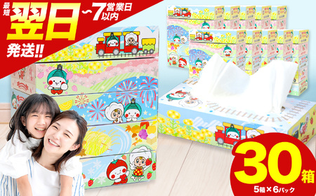 真岡市オリジナルBOXティッシュ30箱(1箱300枚150組)