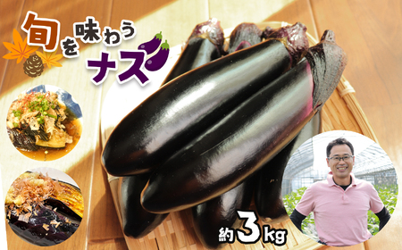 [定期便3回]旬を味わうナス 約3kg