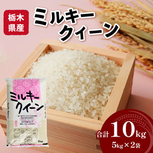 栃木県産ミルキークイーン 10kg | 米 おすすめ 米 rice 精米 白米 ご飯 内祝い もちもち 国産 送料無料 ふるさと納税 栃木県共通返礼品