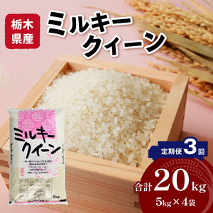 [定期便3回]栃木県産ミルキークイーン 20kg | 米 おすすめ 米 rice 精米 白米 ご飯 もちもち 国産 送料無料 ふるさと納税 栃木県共通返礼品