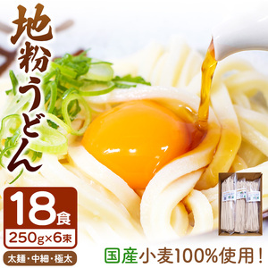 地粉うどんセット(農薬・除草剤・化学肥料 不使用の農地で栽培した 小麦 100%18食分) 250g6束セット
