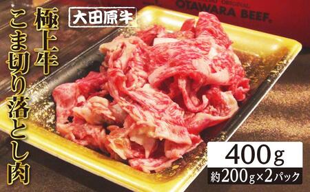 大田原牛 極上牛 こま切り落とし肉(400g)| ブランド 和牛 牛肉 高級 切り落とし 牛丼