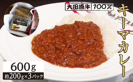大田原牛 100% キーマカレー 3パックセット | レトルト カレー 和牛 牛肉 高級
