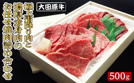 大田原牛 極上 霜降り肉と濃厚赤身肉のお任せ 焼肉 詰め合わせ(500g)| ブランド牛 和牛 牛肉 霜降り 赤身 食べ比べ 高級