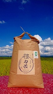 ߘa7NxY 铗͕āi傭܂jRVqJ  10kg b  V uh Ȗ، cs