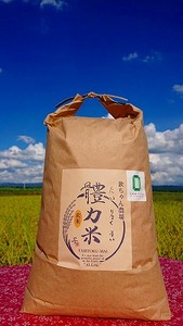 ߘa7NxY@铗͕āi傭܂jRVqJ  10kg b  V uh Ȗ، cs