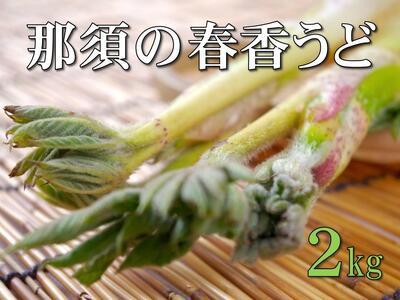 i`Ȃ̎Yn@cY@ߐ{̏tǁ@RǂPiQ^U`W{j