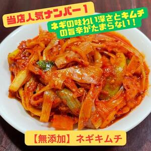 [当店人気No1]迷ったらコレ!ネギキムチ(200g×5袋)| キムチ 惣菜 ねぎ おつまみ おかず 無添加 冷凍 発酵食品 人気 手作り 数量限定