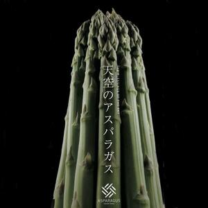 [先行予約] 天空のアスパラガス 「訳あり」1kg [2025年4〜5月頃発送]