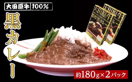 大田原牛 100% 黒カレー 2パックセット | レトルト カレー 和牛 牛肉 ビーフカレー 高級