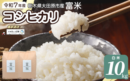 [先行予約]≪10月中旬以降発送≫令和7年産 栃木県大田原市産コシヒカリ「富米」 白米 10キロ |米 お米 新米 コメ こしひかり 10kg
