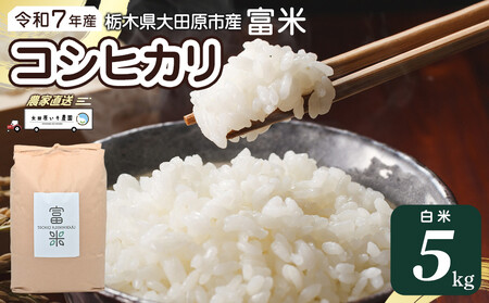 [先行予約]≪10月中旬以降発送≫ 令和7年産 栃木県大田原市産コシヒカリ「富米」 白米 5キロ |米 お米 新米 コメ こしひかり 5kg