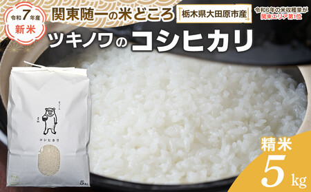 [令和7年産 新米 先行予約受付]ツキノワのコシヒカリ 精米 5kg |お米 白米 ご飯 コメ 栃木県 大田原市