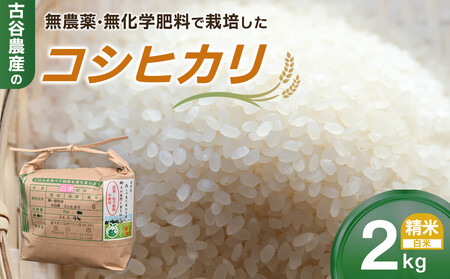 [令和7年産米 数量限定]古谷農産の無農薬・無化学肥料で栽培したコシヒカリ(精米2キロ) |米 コメ 新米 白米 2kgコシヒカリ こしひかり 農家直送 産地直送 産直