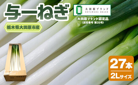 与一ねぎ 2Lサイズ(27本) |野菜 ネギ 農家直送 産地直送 産直 大田原ブランド 栃木県 大田原市
