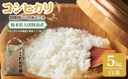 [令和7年産 新米 先行予約受付]栃木県 大田原市産 コシヒカリ 白米 5kg |コメ お米 銘柄米 農家直送 産地直送 産直 数量限定