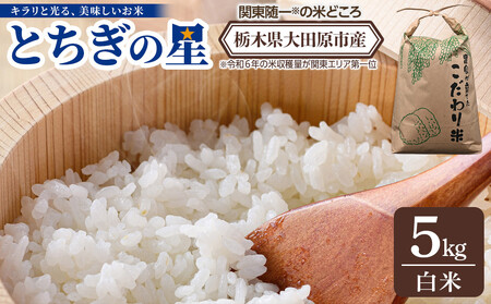 [令和7年産 新米 先行予約受付]栃木県 大田原市産 とちぎの星 白米 5kg |コメ お米 銘柄米 農家直送 産地直送 産直 数量限定