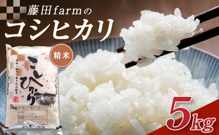 令和7年産 大田原市 藤田farmのコシヒカリ 5kg |栃木県産 米 お米 コメ こしひかり コシヒカリ 栃木県 [選べる容量]5kg 10kg 数量限定