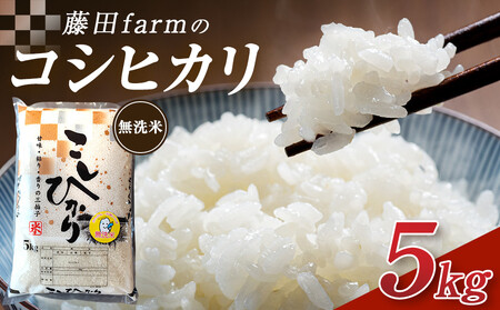 ߘa7NY cs cfarm̃RVqJ yāz 5kg bȖ،Y    R Ђ RVqJ Ȗ، yIׂeʁz5kg 10kg  ʌ