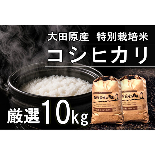 栃木県大田原産コシヒカリ 白米 10kg｜ 特別栽培米 メディア出演多数 栃木県農業大賞 知事賞 受賞農家 五月女農場 農家直送 産地直送 産直 栃木県 大田原市 こしひかり