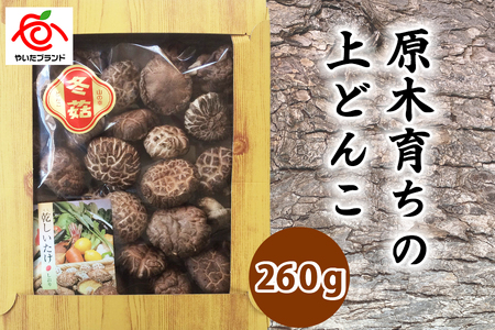 肉厚・厳選！原木育ちの上どんこ260g｜栃木県 矢板市 しいたけ 椎茸 産地直送  [0334]