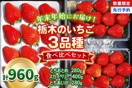 [数量限定] 年末年始にお届け!贅沢な栃木のいちご3種食べ比べセット|とちあいか とちおとめ スカイベリー いちご 苺 フルーツ 果物 産地直送 [0565]