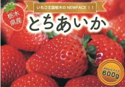 とちあいか 600g [2024年12月初旬より順次発送予定] 朝獲れ新鮮 秘密にしたい美味しさ|いちご イチゴ 苺 フルーツ 果物 産地直送 先行予約 栃木県産 [0588]