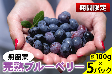 [期間限定] 無農薬 完熟ブルーベリー 約100g×5パック|栃木県産 矢板市産 フルーツ スイーツ デザート 果物 果実 産地直送 [0453]