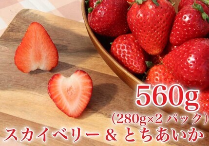 [2024年12月下旬から順次発送] 完熟朝摘みとちあいか 280gとスカイベリー280gの2パックセット|いちご 苺 とちあいか スカイベリー フルーツ 果物 産地直送 先行予約 [0597]