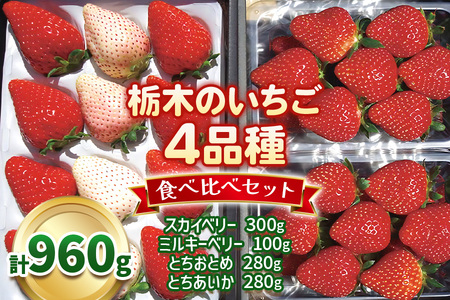 栃木のいちご4品種 食べ比べセット|とちあいか とちおとめ ミルキーベリー スカイベリー いちご 苺 フルーツ 果物 アソート 産地直送 [0524]