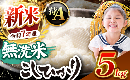 [栃木県共通返礼品][令和7年度新米先行予約]栃木県産コシヒカリ 無洗米 5kg | お米 米 こめ 洗米 新米 無洗米 コシヒカリ こしひかり 美味しい お弁当 選べる ふるさと 納税 栃木県 矢板市