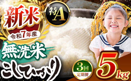 [栃木県共通返礼品][令和7年度新米先行予約]栃木県産コシヒカリ 無洗米 5kg 定期便3回 | 定期便 お米 米 こめ 洗米 新米 無洗米 コシヒカリ こしひかり 美味しい お弁当 選べる ふるさと 納税 栃木県 矢板市