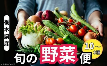 [定期便3回]栃木県産 旬の野菜 (果物) 便 3〜10種 定期便あり 3回|栃木県産 矢板市産 旬の野菜 フルーツ スイーツ デザート 果物 果実 産地直送 栃木県 矢板市