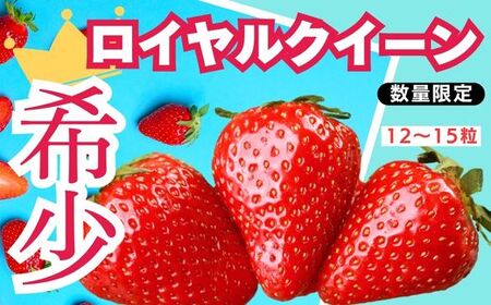 [定期便3回]栃木県産 いちご ロイヤルクイーン12〜15粒 先行予約 3カ月定期便 (1月・2月・3月お届け)|栃木県産 矢板市産 フルーツ スイーツ デザート 果物 果実 産地直送 栃木県 矢板市
