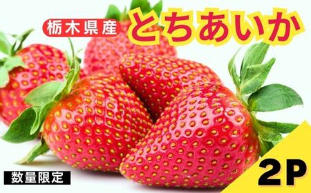 [1月以降発送][期間限定] 栃木県産 いちご とちあいか 12〜15粒 × 2P 先行予約 選べる発送月 定期便3回|栃木県産 矢板市産 フルーツ スイーツ デザート 果物 果実 産地直送 栃木県 矢板市