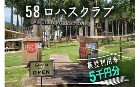58nXNu {ݗp 5~bOsO o[xL[ BBQ AX`bN W[ Lv Ԃ JtF XC[c t[c ċx Ƒ qA ό s `Pbg ̌ R 