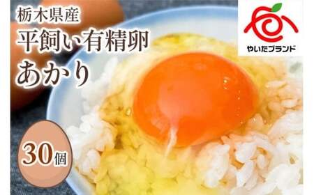 [平飼い有精卵30個] [定期便3回]濃厚な黄身が特徴 ワタナベファームのおてんば長女[平飼い有精卵あかり]