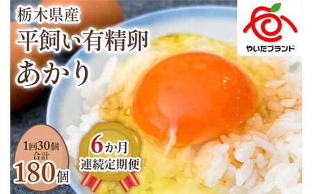 y6z[L30] Zȉg ^ixt@[̂ĂΒyLz (͂j