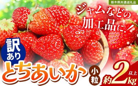 y󂠂zsƂ2kgȏ| 󂠂󂠂  Ƃ 嗱 VN Â    ʕ ʕԗi t[c fU[g Ȗ، 