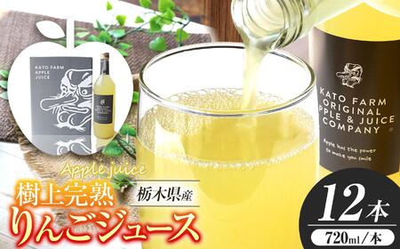 Ȗ،sY ㊮n100񂲃W[X 720ml×12{  | ь S ʏ`100% Yn